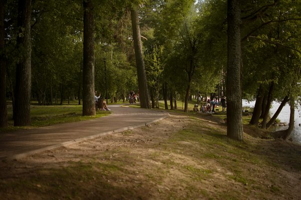 Exploring the Impact of Virtual Support Groups on Postpartum Depression Among First-Time Moms